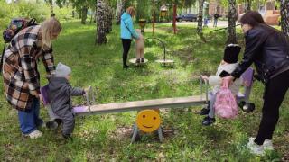 Проект в коррекционном учреждении в г. Отрадный.